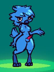 1futa 3:4 animal_genitalia animal_penis anthro avian bird blue_body blue_feathers breasts digitigrade feathers futanari genitals green_background intersex meme mitkit nude penis simple_background solo thick_thighs tweetfur twitter