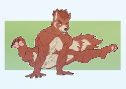 abs anthro biceps blazingifrit clitoris enlarged enlarged_clitoris female flexible genitals gymnastics mammal maxi_(demondawgy96) muscular muscular_female nipple_piercing nipples nude paws piercing procyonid raccoon solo vein