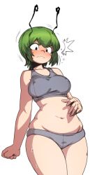 wriggle nightbug from touhou by spacezin