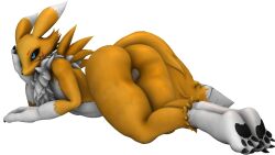 16:9 3d_(artwork) 4k absurd_res anthro ass balls bandai_namco digimon digimon_(species) digital_media_(artwork) genitals head_on_hand hi_res huge_filesize male male_only neck_tuft pawpads pose presenting presenting_hindquarters primocreatore renamon solo source_filmmaker tuft widescreen