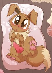 1boy 2022 adorable animal_genitalia anus balls beige_fur big_eyes big_tail blush brown_body brown_eyes brown_fur brown_skin canid canine canine_penis canis cute cute_eyes cute_face detailed_background digital_media_(artwork) eevee erect_penis fluffy fluffy_chest fluffy_tail fuf fur hi_res high_resolution large_ears looking_at_viewer lying lying_on_bed male male_focus male_only nintendo open_mouth pawpads paws penis pet pokémon_(species) pokemon pokemon_(species) presenting presenting_hindquarters presenting_penis puppy red_penis small_balls solo solo_focus solo_male tongue toy toys tuft