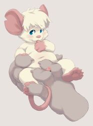 2022 anthro belly blue_eyes blush erection fur genitals hi_res male mammal micro mouse murid murine navel overweight penis rodent seth-iova solo_focus white_body white_fur