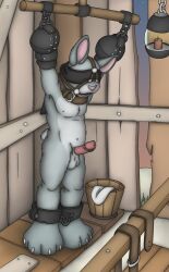 2017 anthro belt biped blindfold bondage bound detailed_background erection furry genitals male male_only malesub muzzle_(object) open_mouth outside paddywoof_(artist) penis solo standing