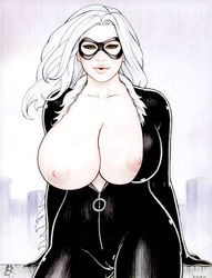 black_cat_(marvel) bodysuit felicia_hardy female female_only human marvel rplatt solo spider-man_(series) tagme