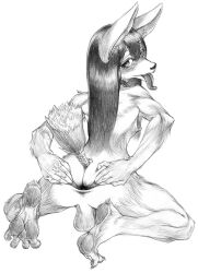 anthro anus ass backsack balls biped blush canid canine femboy fuckboy gaping gaping_anus genitals graphite_(artwork) hair kemono kneeling long_hair looking_at_viewer looking_back mammal marudi monochrome nipples nude paws presenting presenting_anus presenting_hindquarters raised_tail rear_view simple_background spread_anus spread_butt spreading straight_hair tail tongue tongue_out traditional_media_(artwork) white_background