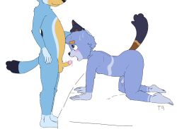 2024 aged_down anthro balls bandit_heeler bluey_(series) brother brother_(lore) brothers brothers_(lore) canid canine canis cub domestic_dog duo genitals hi_res humanoid_genitalia humanoid_penis incest_(lore) male male/male oral penis sibling_(lore) simple_background t9_(artist) white_background young young_anthro young_male younger_anthro younger_male