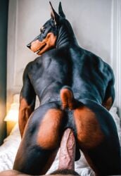 2024 ai_generated anal anal_sex anthro anus ass balls bed canid canine doberman dobermann domestic_dog furry gay human human_on_anthro hyperrealistic male male/male male_human/male_anthro male_only mammal navel nipples nude paulfluffyaligator penis photorealism photorealistic realistic sex tagme yaoi