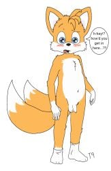 2024 anthro balls blush canid canine clothing cute_expression cute_face cute_male duo flaccid footwear footwear_only fox hi_res male mostly_nude penis sega simple_background small_penis socks socks_only soft_penis solo sonic_(series) sonic_the_hedgehog_(series) t9_(artist) tails tails_the_fox white_background young young_anthro young_male younger_anthro younger_male