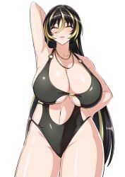 1girls amadea_wolfa arm_behind_head big_breasts breasts busty curvaceous curvy curvy_body curvy_female curvy_figure dolphin_wave egoha. female hand_behind_head huge_breasts large_breasts long_hair multicolored_hair swimsuit thick_thighs thighs voluptuous white_background