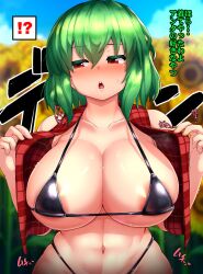 bangs bikini black_bra black_panties bra breasts female field flower flower_field garden_of_the_sun green_hair highres large_breasts micro_bikini open_clothes open_vest panties peso_(cheese_company) plaid plaid_vest red_eyes red_vest short_hair sunflower swimsuit touhou translated underwear vest wavy_hair yuka_kazami