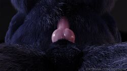 3d anal anal_sex animal_genitalia animal_penis anthro balls black_body black_fur bofonw canid canine canine_penis canis cuntboy darkness duo fur genitals grey_body grey_fur intersex intersex/male knot male male/male mammal night outside penetration penile penile_penetration penis penis_in_ass pink_penis red_penis sex were werecanid werecanine wolf