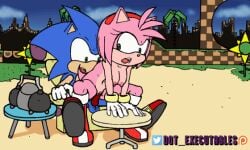 .executables amy_rose animated anthro balls beach breasts duo eulipotyphlan female genitals green_hill_zone hedgehog humanoid lap male male/female mammal mobian_(species) on riding seaside sega sitting sonic_(series) sonic_the_hedgehog sonic_the_hedgehog_(series) vaginal_penetration video_games