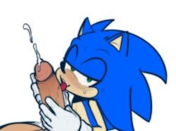 2022 anthro blue_body blue_fur blush bodily_fluids cum ejaculating_cum ejaculation eulipotyphlan first_person_view fur genital_fluids genitals green_eyes hedgehog hexanne holding_penis licking male male/male mammal oral oral_sex penile penis penis_lick sega sex simple_background sonic_(series) sonic_the_hedgehog tongue tongue_out white_background