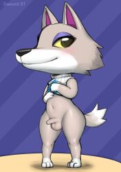 animal_crossing anthro balls blush diacordst fang_(animal_crossing) fur furry furry_only looking_at_viewer male male_only nintendo no_humans partially_clothed penis shirt_lift tagme tail thick_thighs tiny_penis wolf