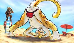 1boy absurd_res anthro anus ass ass_up balls_outline beach being_watched binoculars bodily_fluids bulge charr clothing cum cum_in_ass cum_inside digital_media_(artwork) felid fur genital_fluids genital_outline genitals guild_wars hair hi_res jack-o'_pose jockstrap leaking_cum looking_at_another looking_at_viewer male male_only male_penetrated mammal pantherine pose presenting presenting_hindquarters rytlock_brimstone sand seaside sky smile solo tiger underwear vateo video_games