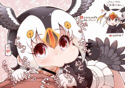 atlantic_puffin_(kemono_friends) fellatio japanese_text kemono_friends looking_at_viewer pov simple_background skirt tanaka_kusao translation_request