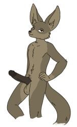 alpha_channel anthro balls bedroom_eyes big_balls big_ears big_penis canid canine erection fennec fox genitals hand_on_hip kyron_farspire madmanransom male mammal narrowed_eyes nude nude_male penis seductive smug smug_face smug_grin solo transparent_background