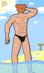 1boy clothed clothing cloud digital_drawing_(artwork) digital_media_(artwork) family_guy hi_res humanoid hybrid male male_focus male_only mammal nipples public rupert_(family_guy) seaside signature solo solo_male speedo speedo_only sun swimwear towel ursid water watermark wet