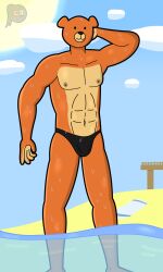 1boy 2022 anthro beach clothed clothing cloud digital_drawing_(artwork) digital_media_(artwork) family_guy hi_res male male_focus male_only mammal nipples public rupert_(family_guy) seaside signature solo solo_male speedo speedo_only sun swimwear towel ursid water watermark wet