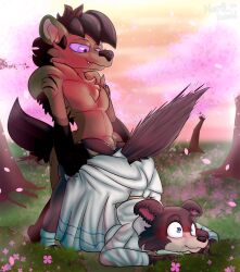 2022 4_fingers anal anal_sex anthro ass ass_up beastars black_body black_fur black_hair black_nose black_stripes blush breasts canid canine canis cherry_blossom cherry_blossom_tree cherry_tree chest_tuft clothed clothed/nude clothing clothing_grab detailed_background digital_media_(artwork) doggy_style dress duo eyebrows eyelashes female female_penetrated fingers from_behind_position fruit_tree fur genitals gloves_(marking) grabbing_partner grass gyro_(ner0_kobold) hair hi_res hyaenid juno_(beastars) leg_markings looking_at_another looking_down looking_down_at_partner male male/female male_penetrating male_penetrating_female mammal markings motion_lines multicolored_body multicolored_fur ner0_kobold nude outside penetration penis plant purple_eyes purple_sclera sex shaded signature sky smile socks_(marking) striped_hyena stripes sunset surprise surprise_buttsex surprise_sex surprised_expression tan_body tan_fur tree tuft two_tone_body two_tone_fur white_clothing white_dress wolf