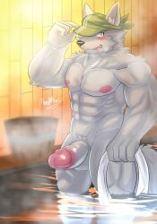 abs anthro balls bath bathhouse blush canid canine chardonnay_romancia clothing erection fox fur genitals grey_body grey_fur hat headgear headwear hi_res humanoid_genitalia humanoid_penis kerchief male mammal manothesea muscular muscular_male nipples partially_submerged pecs penis rudolf_yelp smile solo towel