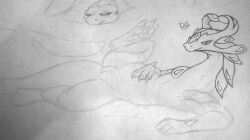 bakugan bakugan_battle_brawlers dragon dragoness feral scalie sex sketch tagme vagina wavern wip wyvern