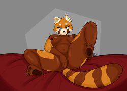 2022 absurd_res ailurid anthro bed blue_eyes breasts brown_body brown_fur digital_drawing_(artwork) digital_media_(artwork) female fur furniture genitals grey_background hair hi_res looking_at_viewer mammal nipples nude orange_body orange_fur pussy red_panda rodd.y simple_background solo