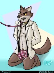 1boy abstract_background angry anthro body_hair canid canine canis clothed clothing dreamworks fangs garo_(artist) good_boy heart_underwear hi_res kneeling leash male male_only mammal mr._wolf_(the_bad_guys) solo suit teeth the_bad_guys underwear wolf