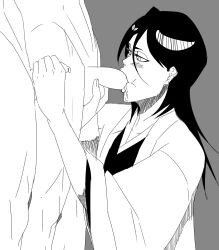 kuchiki rukia from bleach by suzuki shun