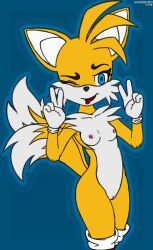 anthro breasts canid canine darkholm1 female fox genitals hi_res mammal one_eye_closed pussy sega solo sonic_(series) sonic_the_hedgehog_(series) tails tailsko tongue tongue_out wink