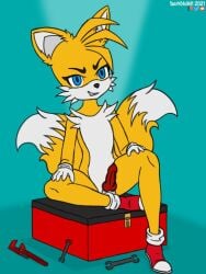 anthro canid canine darkholm1 feminine_tails fox genitals knot male mammal penis sega smile solo sonic_(series) sonic_the_hedgehog_(series) tails toolbox