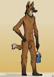 animal_genitalia anthro balls canid canine fully_sheathed genitals hand_on_hip hi_res male mammal maned_wolf sheath solo standing strana_(artist)