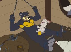 anthro archiblender armpit_hair axe bear bear_rug black_fur bondage chains claws furry key kled ladder league_of_legends male male_only open_mouth original_character penis size_difference ursine white_fur yellow_eyes yordle