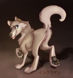 aleu anus balto_(film) blue_eyes canine female feral furry grey_fur japanese_text looking_back milk-ramen pawpads pussy solo tail tongue_out yellow_sclera