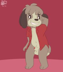 animal_crossing animal_genitalia animal_penis anthro balls bottomless canid canine canis clothed clothing clothing_fur digby_(animal_crossing) domestic_dog fur furry furry_only genitals hair hi_res looking_at_viewer male male_only mammal nintendo nutty_bo penis sheath shirt shy simple_background smile solo tail topwear unbuttoned_shirt video_games