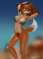 anthro beach belly bikini bikini_top bottomless breasts canid canine canis caramelhooves clothing domestic_dog eyewear female glasses hair hairy illumination_entertainment looking_at_viewer mammal navel oily pubic_hair seaside sing2 sing_(movie) sing_2_(movie) solo suki_lane swimwear tail wet