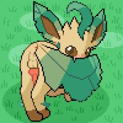 2022 anus ass ass_up balls blush digital_media_(artwork) eeveelution feral fur genitals grass knot leaf_tail leafeon leg_markings looking_at_viewer looking_back male mammal markings nintendo outside penis perineum pixel_(artwork) plant pokemon pokemon_(species) presenting presenting_hindquarters presenting_penis socks_(marking) solo tail_aside tan_body tan_fur video_games zabozamojo