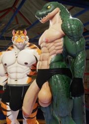 abs alligator alligatorid anthro balls big_balls big_penis boxer_briefs bulge clothed clothing connivingrat crocodilian duo felid fighting_ring genitals green_body helm_(connivingrat) hi_res humanoid_genitalia humanoid_penis male male_only mammal muscular muscular_male navel orange_body pantherine partially_clothed penis reptile scalie speedo stead_(connivingrat) striped_body stripes swimwear tiger topless underwear useless_clothing wardrobe_malfunction yellow_sclera