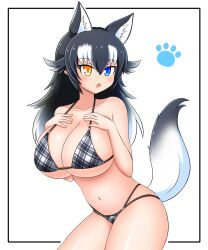 1girls absurdres animal_ear_fluff animal_ears bikini black_hair blue_eyes blush breasts cleavage collarbone extra_ears eyebrows_visible_through_hair female grey_wolf_(kemono_friends) hand_on_own_chest heterochromia highres kemono_friends large_breasts light-skinned_female light_skin looking_at_viewer multicolored_hair navel open_mouth simple_background solo swimsuit tail two-tone_hair white_background white_hair wolf_ears wolf_girl wolf_tail yellow_eyes zn_(doakes00)