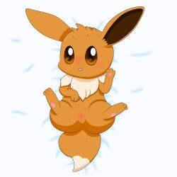 brown_body brown_fur eevee female feral fur furry furry_only genitals hi_res holeymole nintendo pokémon_(species) pokemon pokemon_(species) pussy solo spread_legs spreading tail video_games