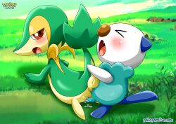 bbmbbf blush closed_eyes female furry male male/female nintendo open_mouth oshawott palcomix penis pokemon pokemon_(species) pokepornlive pussy sex snivy tongue vaginal_penetration vaginal_sex