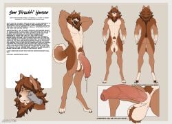 absurd_res amber_eyes animal_genitalia anthro balls big_balls big_penis bodily_fluids brown_body brown_fur canid canine canis casloafy caucasian_mountain_dog chow_chow domestic_dog dripping foreskin fur genital_fluids genitals hair hair_over_eyes hi_res humanoid_genitalia humanoid_penis livestock_guardian_dog male mammal model_sheet molosser mountain_dog multicolored_body multicolored_fur muscular muscular_male pastoral_dog penis precum precum_drip sam_hansen sheath solo spitz white_body white_fur
