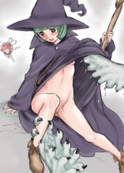 1girls berserk blush breasts evarella female green_hair hat human light-skinned_female light_skin pointy_chin schierke short_hair small_breasts solo solo_focus staff tagme witch