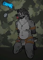 2d_animation ambiguous_gender animaanimals animated anthro arms_tied ball_gag balls belly bondage bound clock disembodied_hand dog_tags duo erection facial_scar floating_hands foreskin fur gag genitals grey_body grey_fur hair humanoid_genitalia humanoid_penis hyena hypnosis hypnotic_eyes kneeling long_hair male male/ambiguous mammal markings military mind_control motion_tweening muscular muscular_male nipples nude penis pocketwatch scar short_tail slightly_chubby solo_focus spots spotted_hyena spotted_markings submissive_male tail tongue tongue_out watch