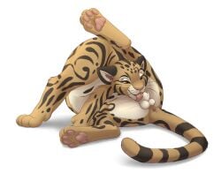 absurd_res anatomically_correct anatomically_correct_genitalia animal_genitalia anus balls cleaning clouded_leopard digital_drawing_(artwork) digital_media_(artwork) felid feline_genitalia feline_sheath feral fur genitals hi_res jan_(shape-shifter) licking male male_only mammal markings narrowed_eyes neofelis oral pantherine pawpads paws penis penis_tip pose quadruped roughlady sex sheath sheath_lick signature smile solo spots spotted_body spotted_fur spread_legs spreading tail tail_anus tan_body tan_fur tongue whiskers