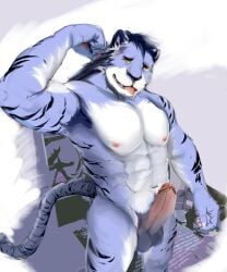 blue clothing coat erection felid genitals hi_res male male/male mammal mirror muscular pantherine papilla penis solo spermary tail tiger tongue topwear