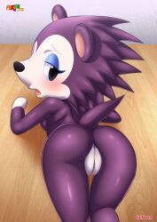 1girls animal_crossing anthro anus ass bbmbbf blush breasts female female_only fur fur34 furry furry_only hedgehog hi_res jpeg labelle_able nintendo nude open_mouth palcomix pussy solo tail tongue