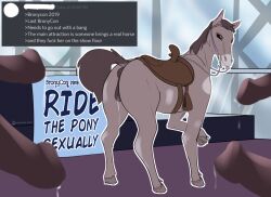 anatomically_correct anatomically_correct_anus anatomically_correct_genitalia anatomically_correct_pussy animal_genitalia animal_pussy anus ass bronycon conditional_dnp equid equine female feral genitals group horse horsepussy human male male/female mammal penis presenting presenting_anus presenting_hindquarters presenting_pussy pussy pussy_juice raised_tail saddle whisperfoot