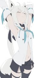 shirakami fubuki from hololive by kujira pasta