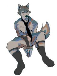 anthro blue_eyes blush blush_lines bottomwear bound bulge canid canine canis claws clothing digital_media_(artwork) domestic_dog fluffy fluffy_tail footwear fur garter_belt garter_belt_socks garter_straps hands_tied hi_res husky male mammal mostly_nude necktie nipples nordic_sled_dog pawpads paws pecs scar scars_all_over short_story siberian_husky sock_fetish socks solo solo_focus spitz thetraincomics tight_bottomwear tight_clothing underwear